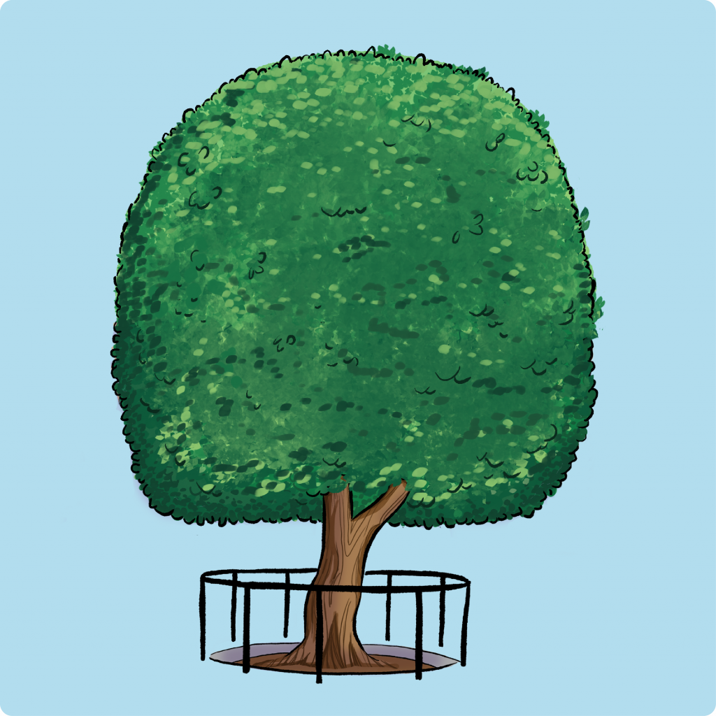 Plant Your Own Survivor Tree – The 9/11 Lesson